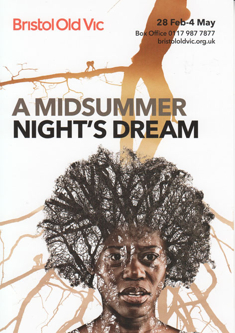 Midsummer Old Vic flyer