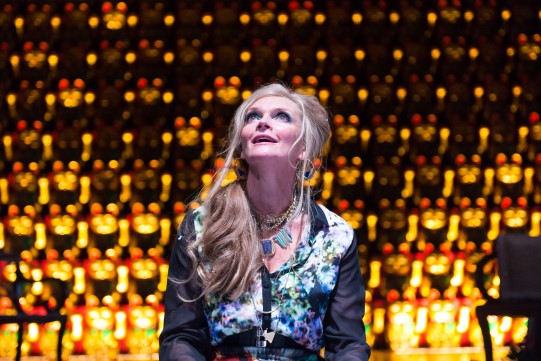 Arden-2014-14-541x361