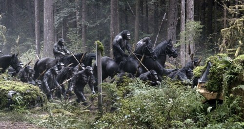 dawn-of-planet-of-apes07