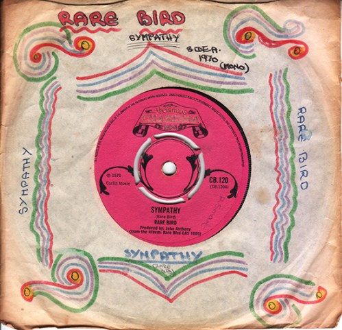 Sympathy.home made sleeve