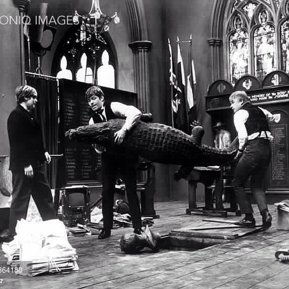 43913529_190937878464868_992629205556344960_n