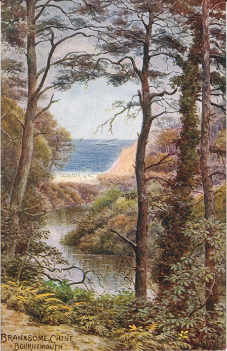 Branksome Chine copy