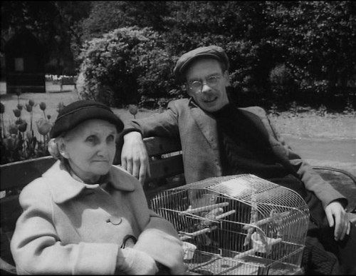 brian murphy - taking the birds for a walk