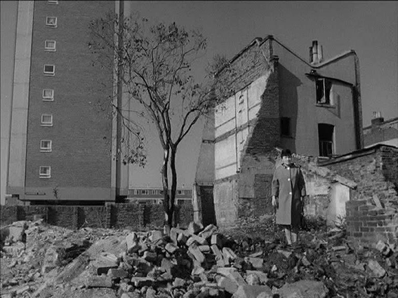 queenie poplar rubble