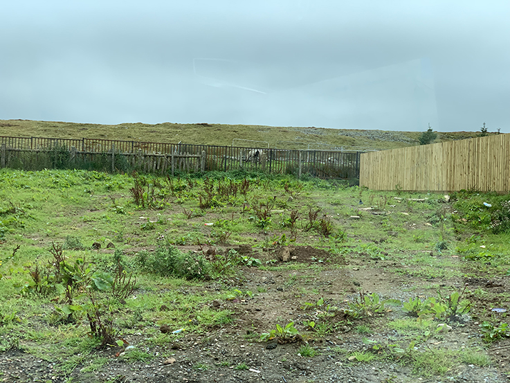 Cefn Goula 49 Gainsborough Ave