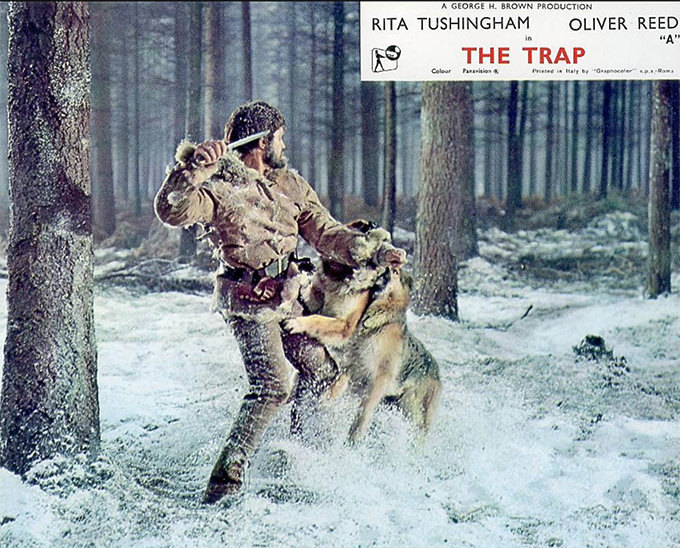 Screenshot 2020-01-19 at 14.35.27